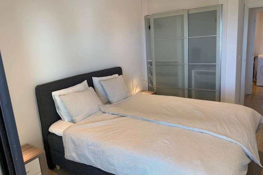 Apartment Casa Sofia
